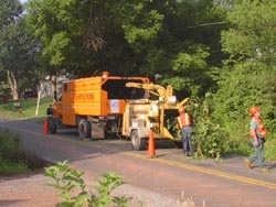 Tree limbs are chipped for easy site removal